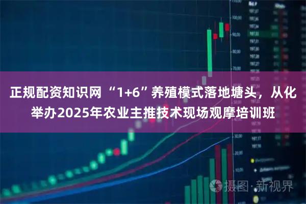 正规配资知识网 “1+6”养殖模式落地塘头，从化举办2025年农业主推技术现场观摩培训班