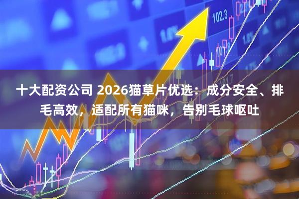 十大配资公司 2026猫草片优选：成分安全、排毛高效，适配所有猫咪，告别毛球呕吐